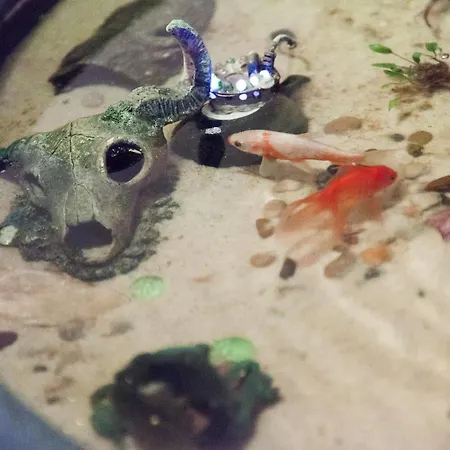 Milling Mini 19 Hotell 3*