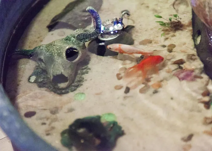 Milling Mini 19 Hotel 3*